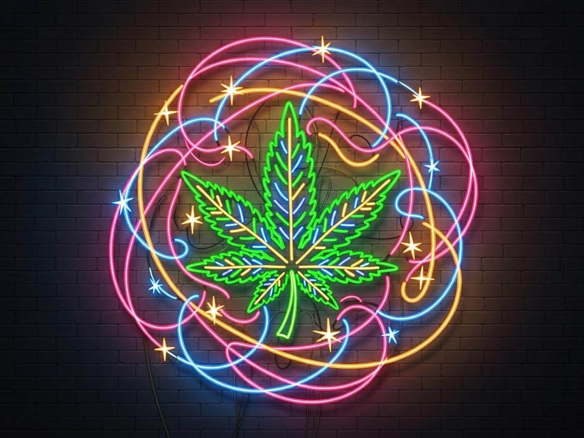 What Is Full Spectrum Cannabis? Key Insights & Benefits